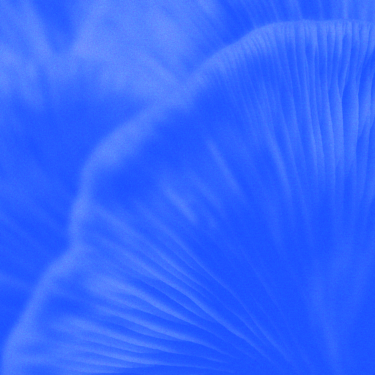 43db48b801e5fbdeb9d032fd92151516