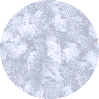Ellipse 34 (1)