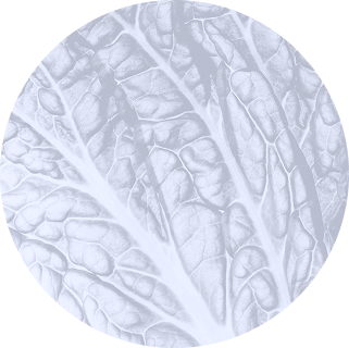 Ellipse 34 (11)