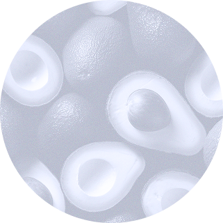 Ellipse 34 (7)