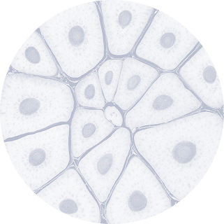 Ellipse 34 (8)