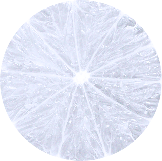 Ellipse 34 (9)