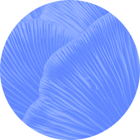 Ellipse 37
