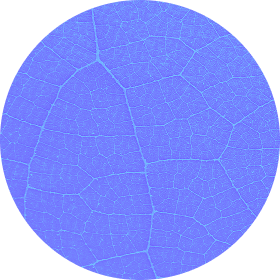 Ellipse 46
